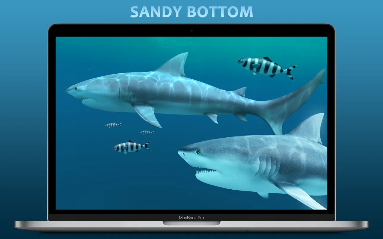 sharks-3d-crack