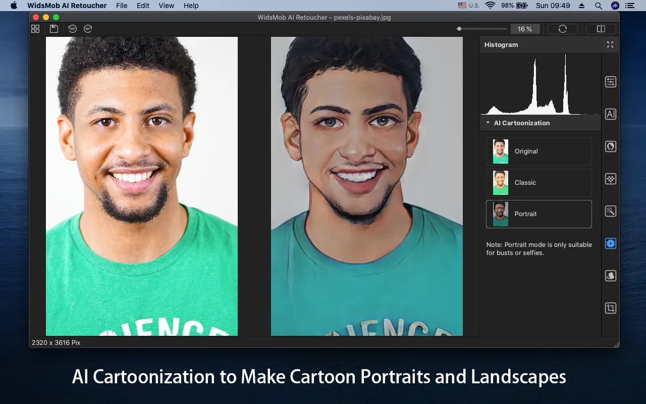 widsmob-ai-retoucher-crack