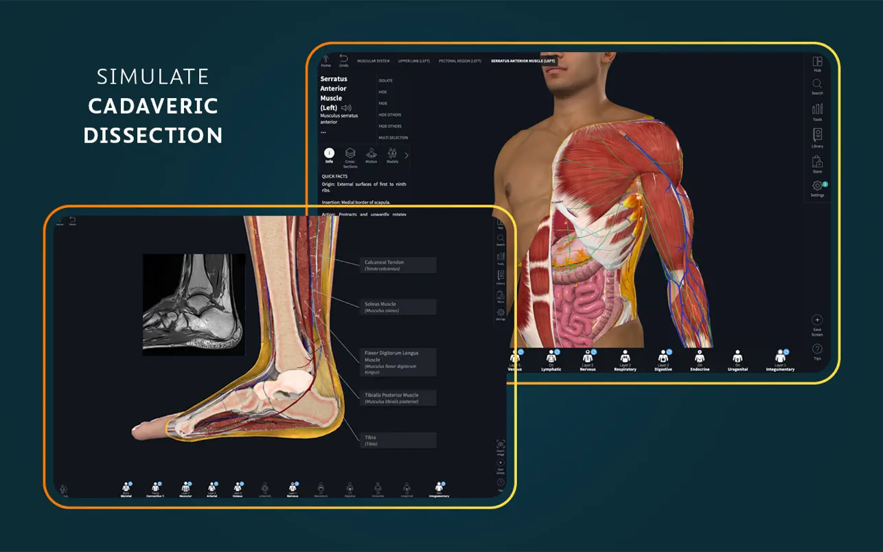 complete-anatomy-crack