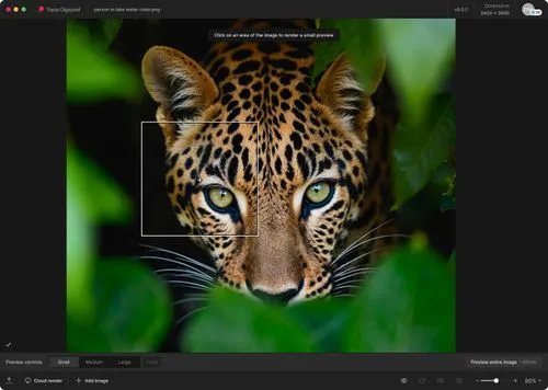 topaz-gigapixel-crack