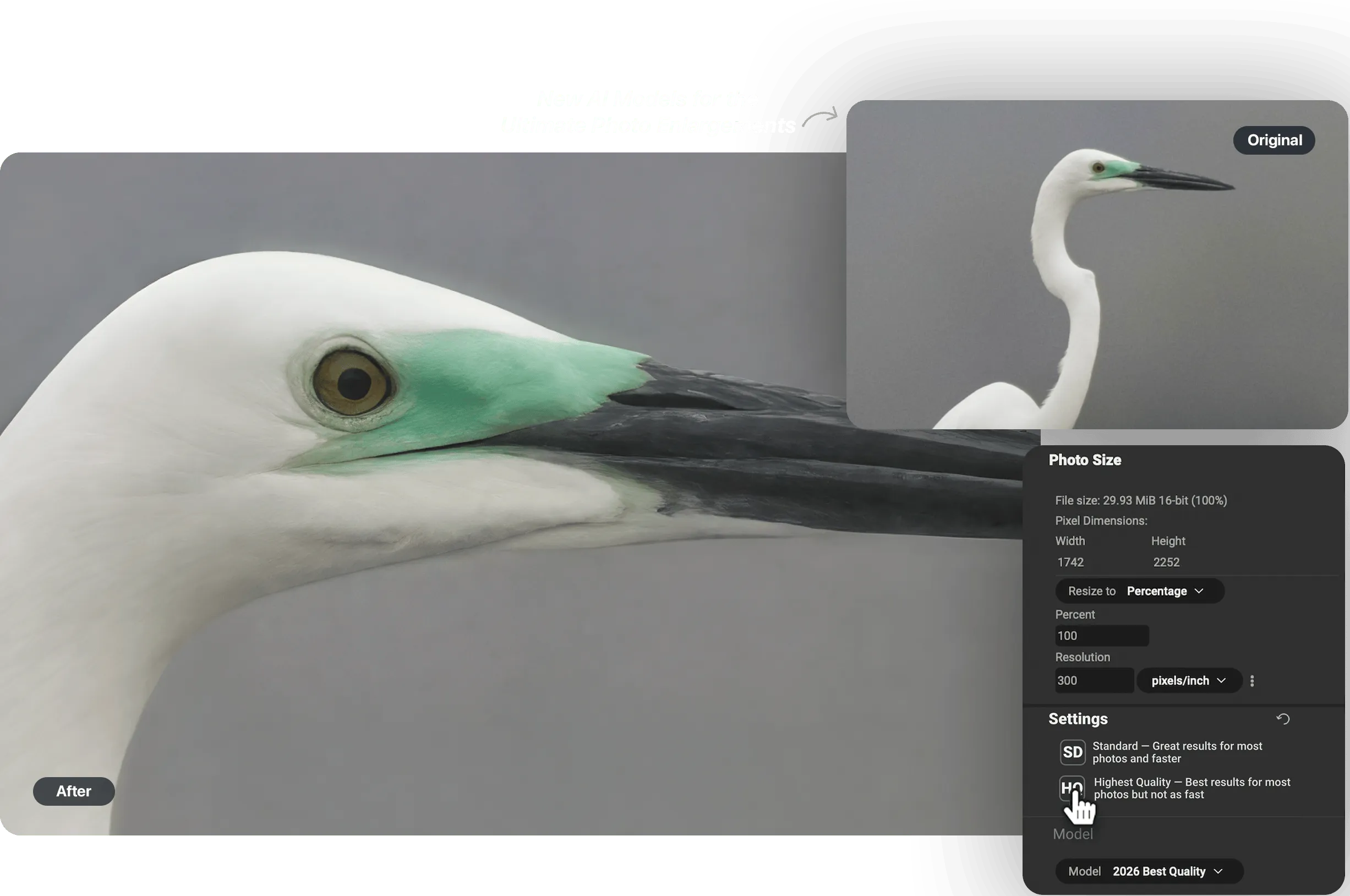 on1-resize-ai-mac-crack
